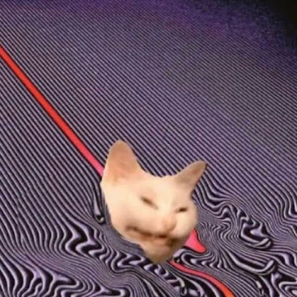 Meet your Posher, Joey